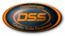 DSS