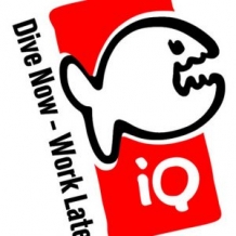 IQ