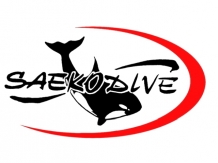 Saekodive