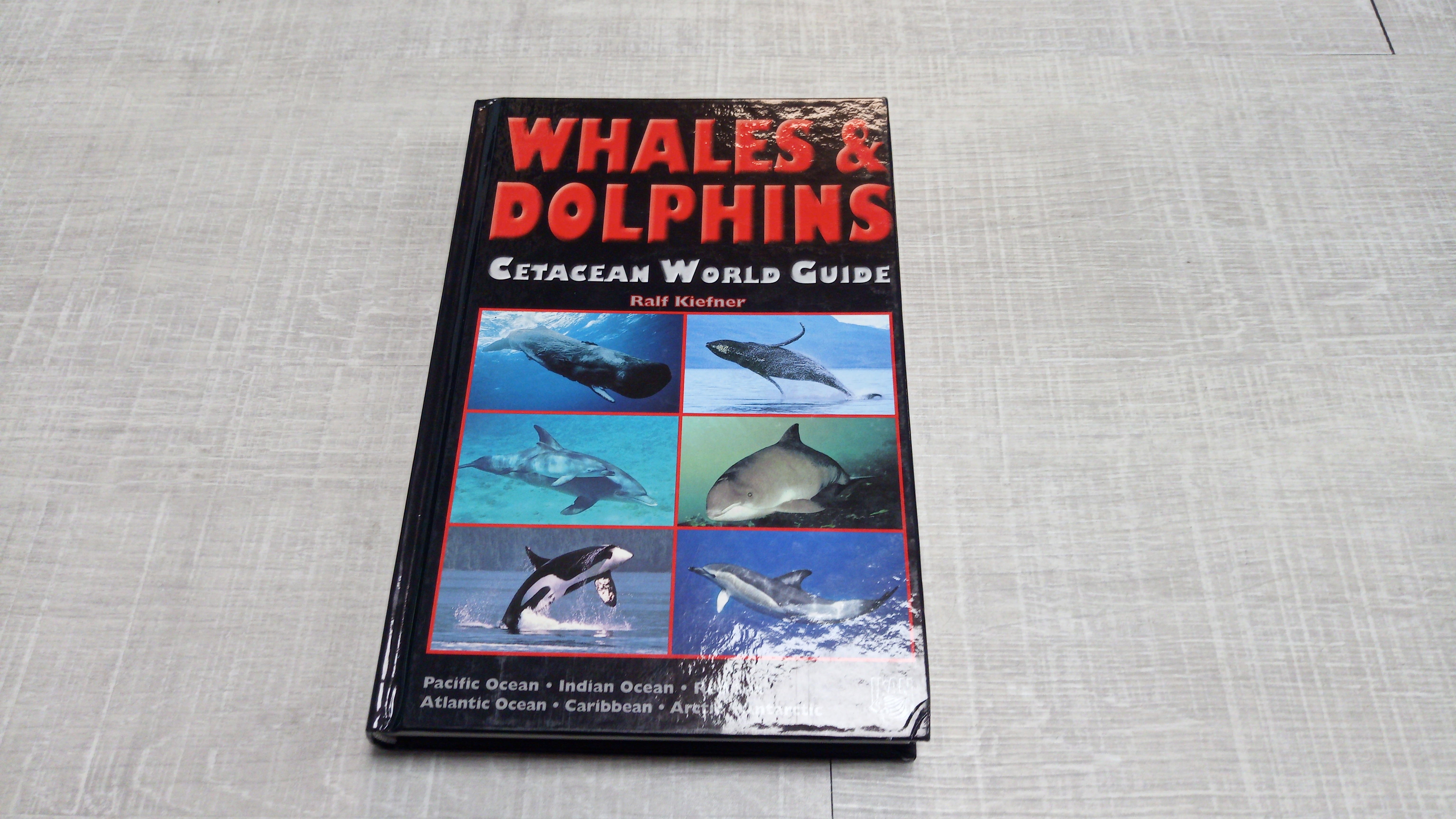 Whales & Dolphins Guide Of The World