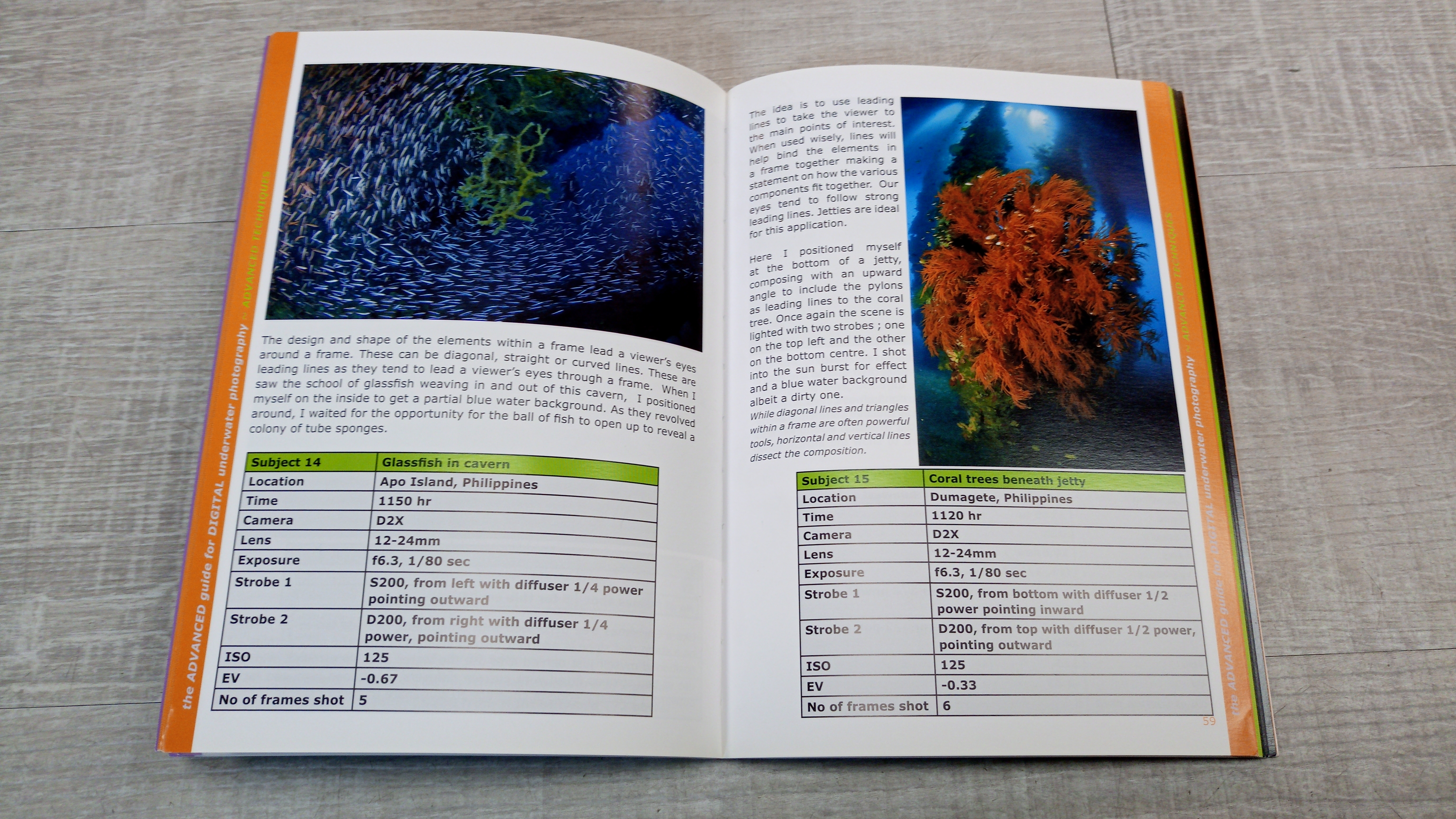 An Advanced Guide to Digital Underwater Photography