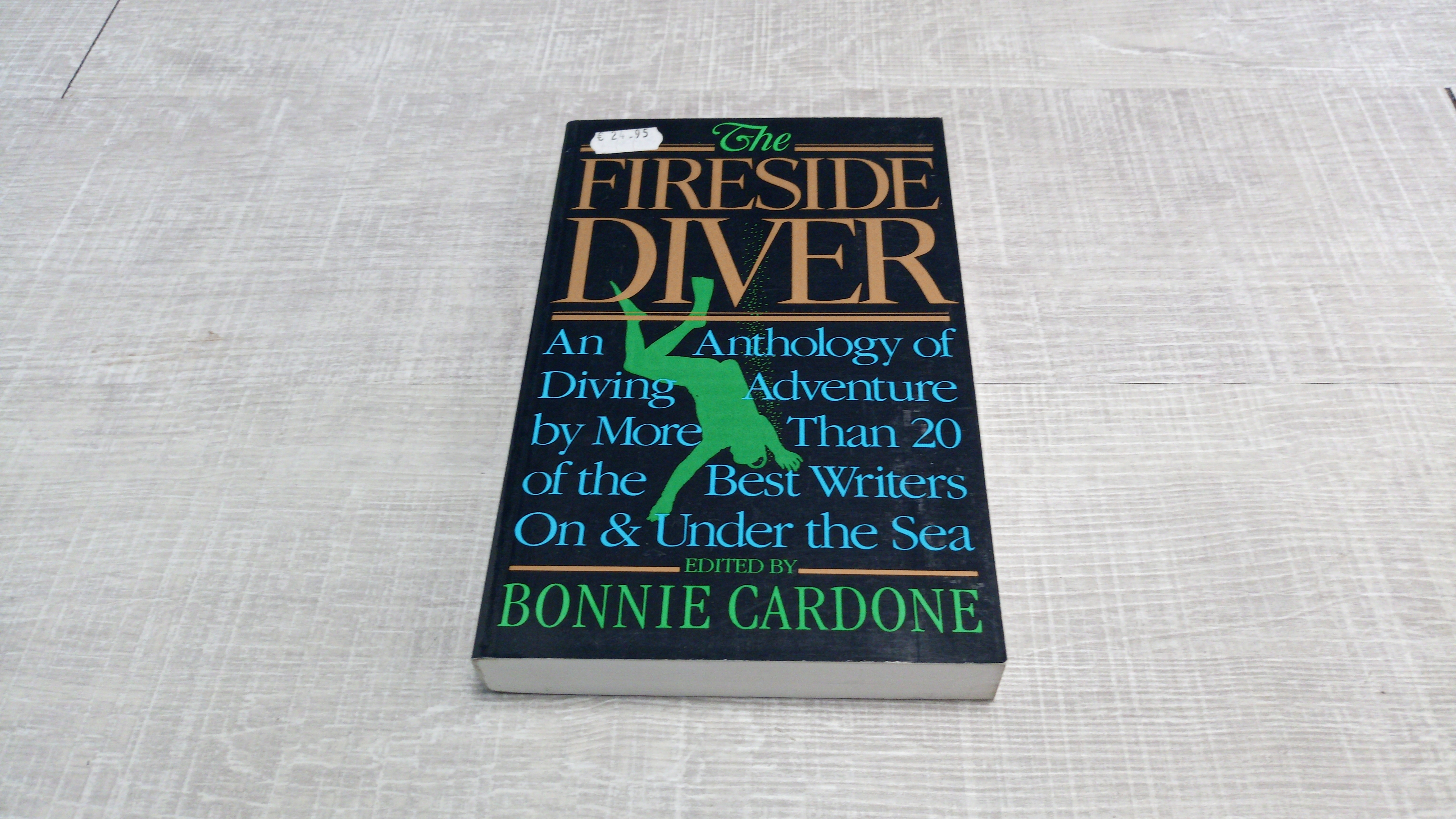 Bonnie Cardone - The Fireside Diver