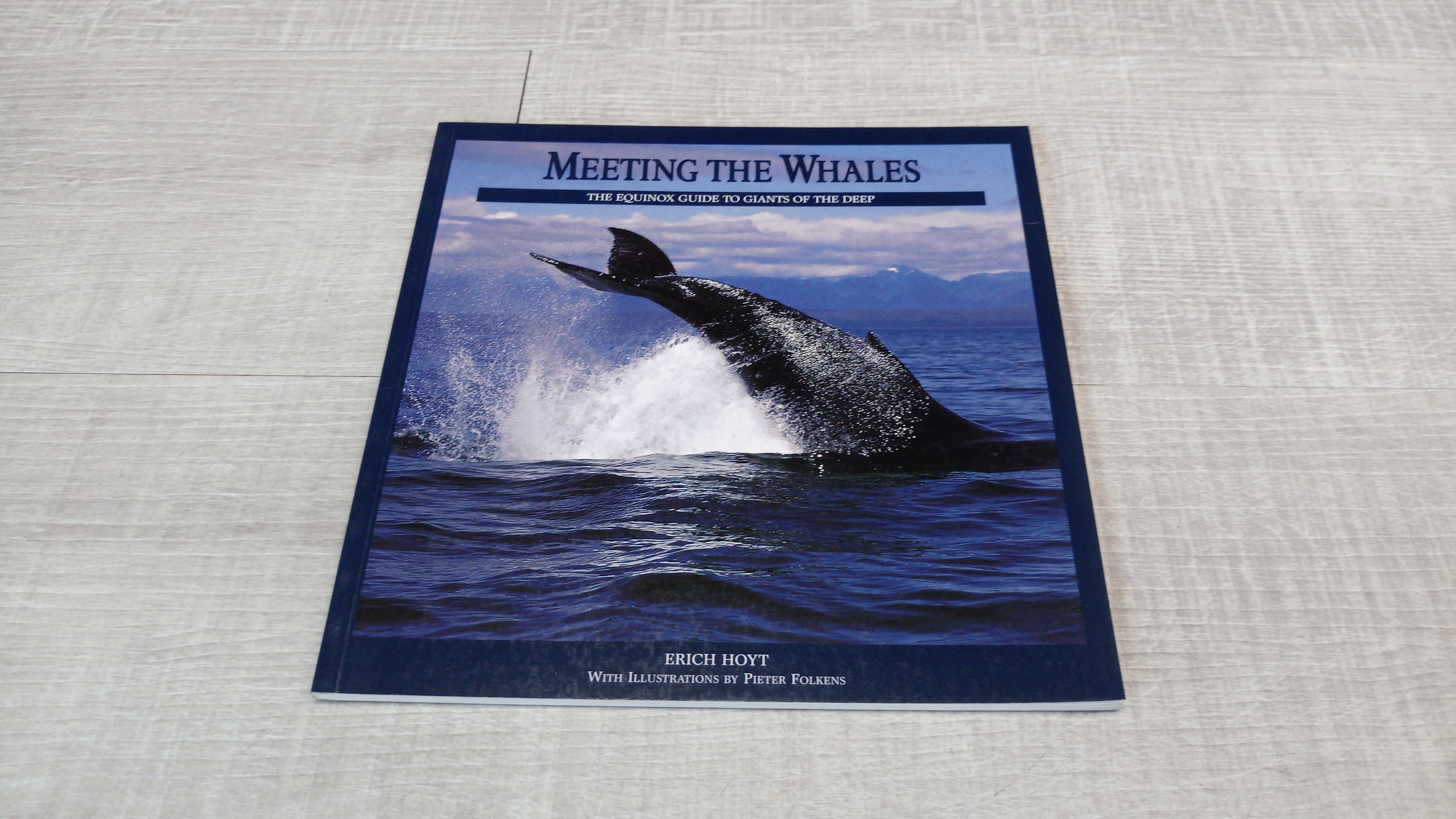 Meeting the Whales