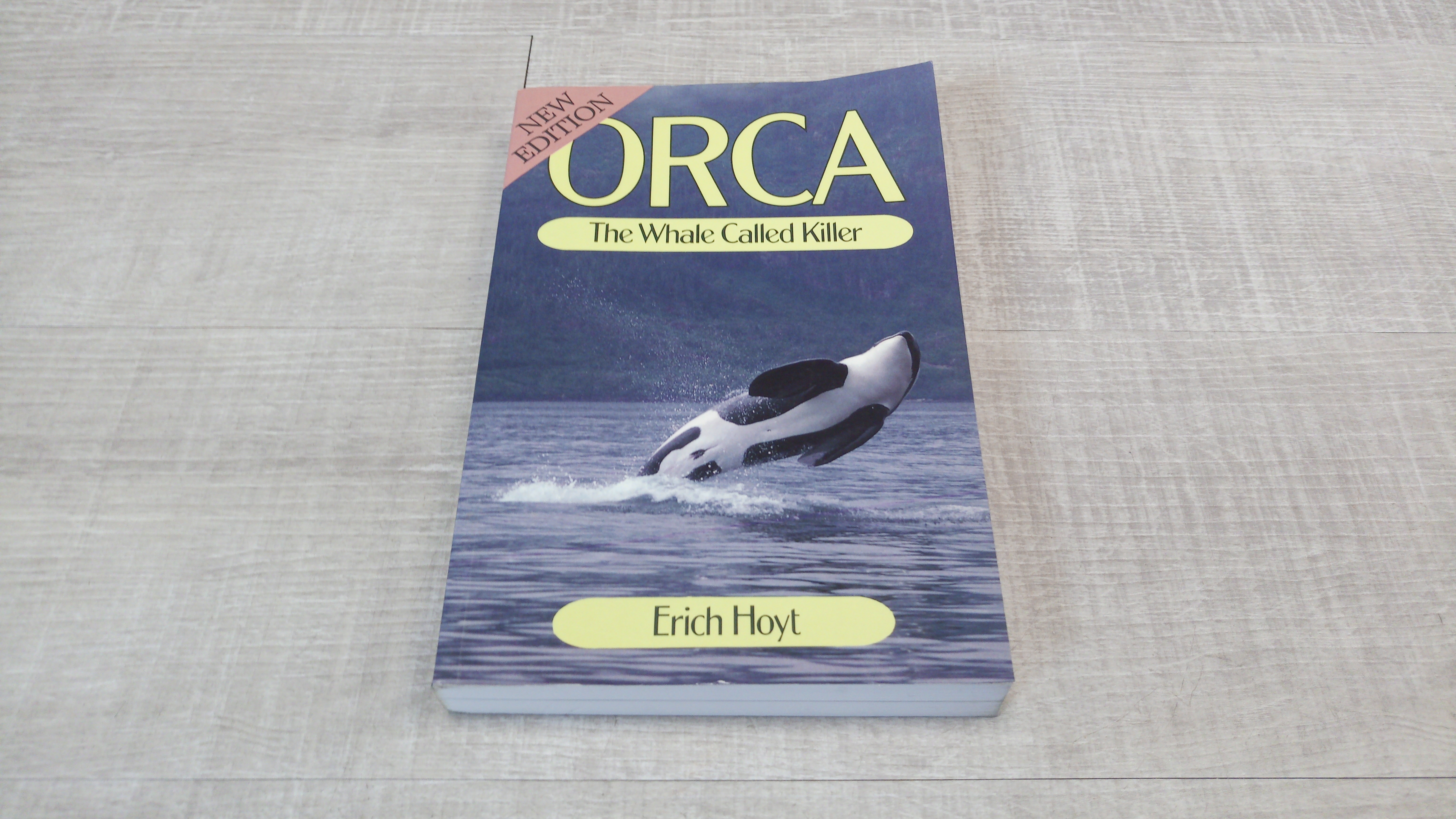 Orca the whale called killer