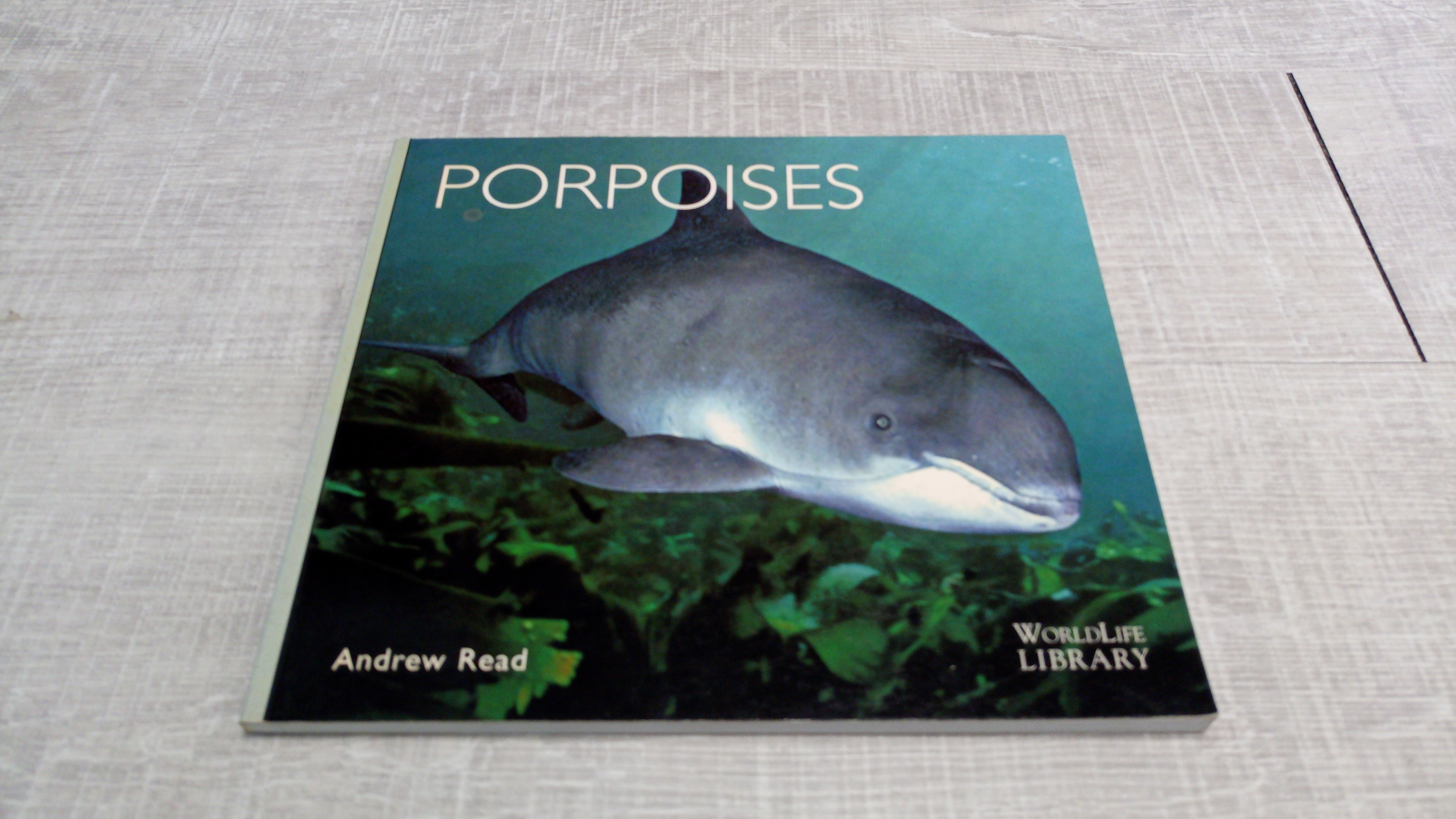 Porpoises - MJDiving Webshop