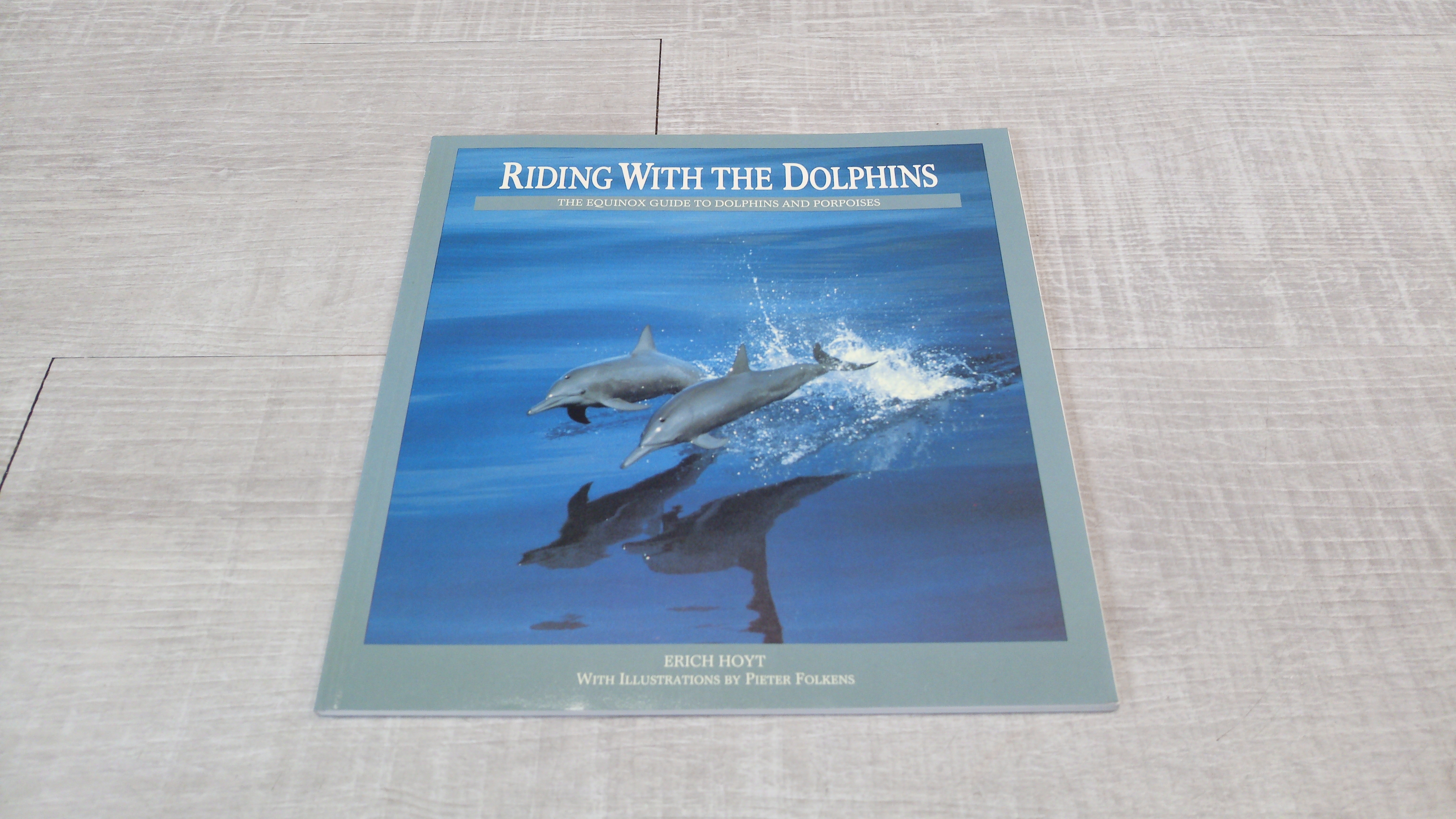 Riding with the dolphins