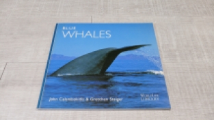 Blue Whales