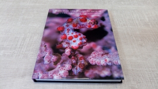 Realm of the Pygmy Seahorse
