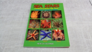 Sea Stars