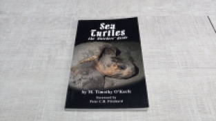 Sea turtles the watchers' guide