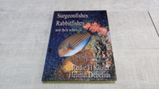 Surgeonfishes, Rabbitfishes and their relatives