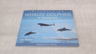 Whales, Dolphins & Porpoises